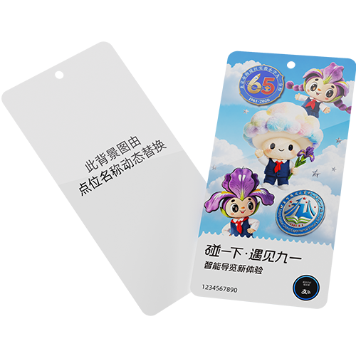 北京实验小学九一分校校庆-1